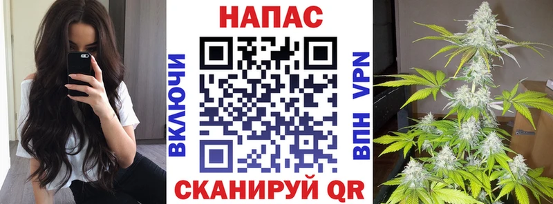 Продажа наркотиков Шуя Бошки Шишки АМФЕТАМИН ГАШИШ Мефедрон СК