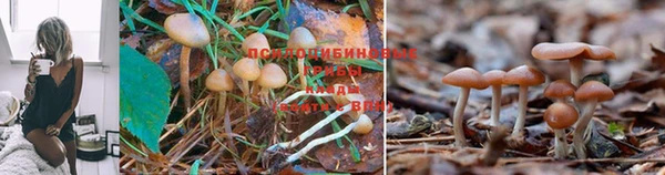mix Алзамай