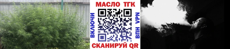 мега   продажа наркотиков  Шуя  ТГК жижа 