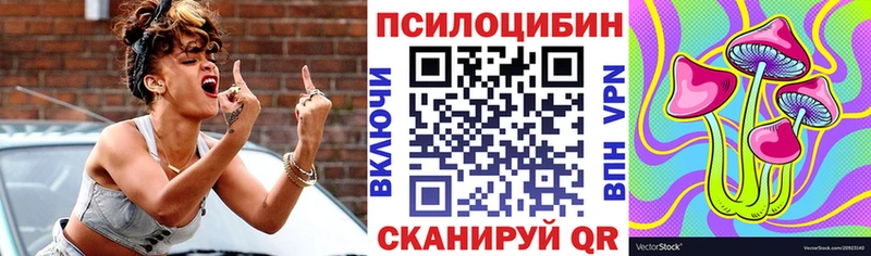 Галлюциногенные грибы Psilocybe Шуя
